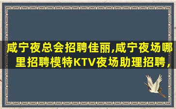 保山夜总会招聘